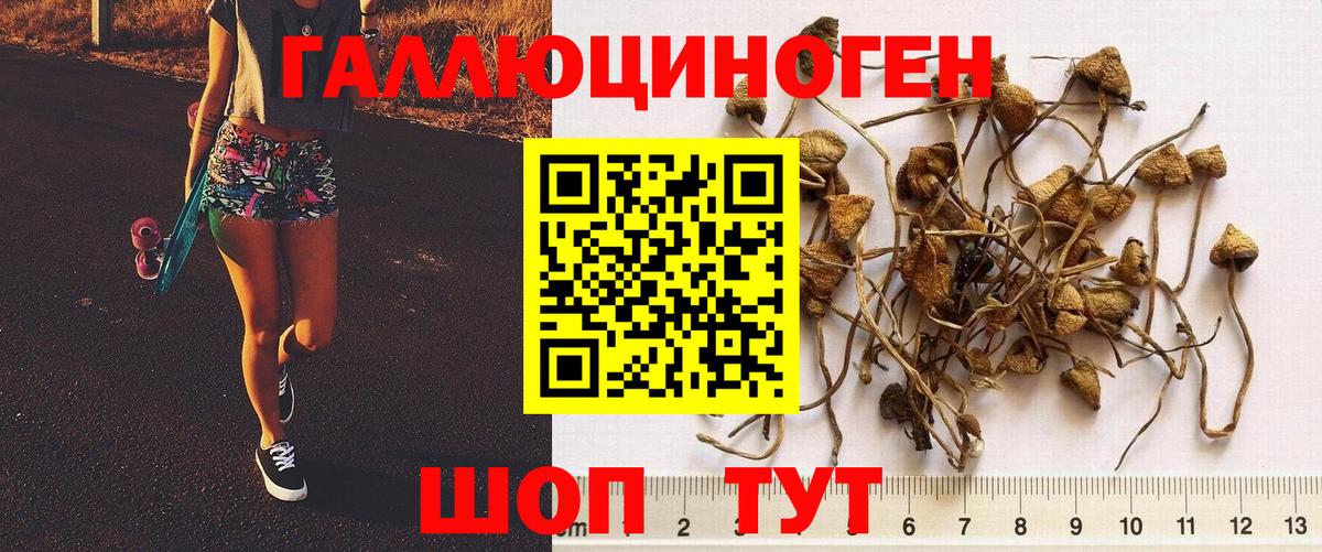 Псилоцибиновые грибы мицелий  Вход с VPN  Бахчисарай 